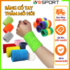 Cover thumble 1200x1200 bang tham mo hoi co tay 2024