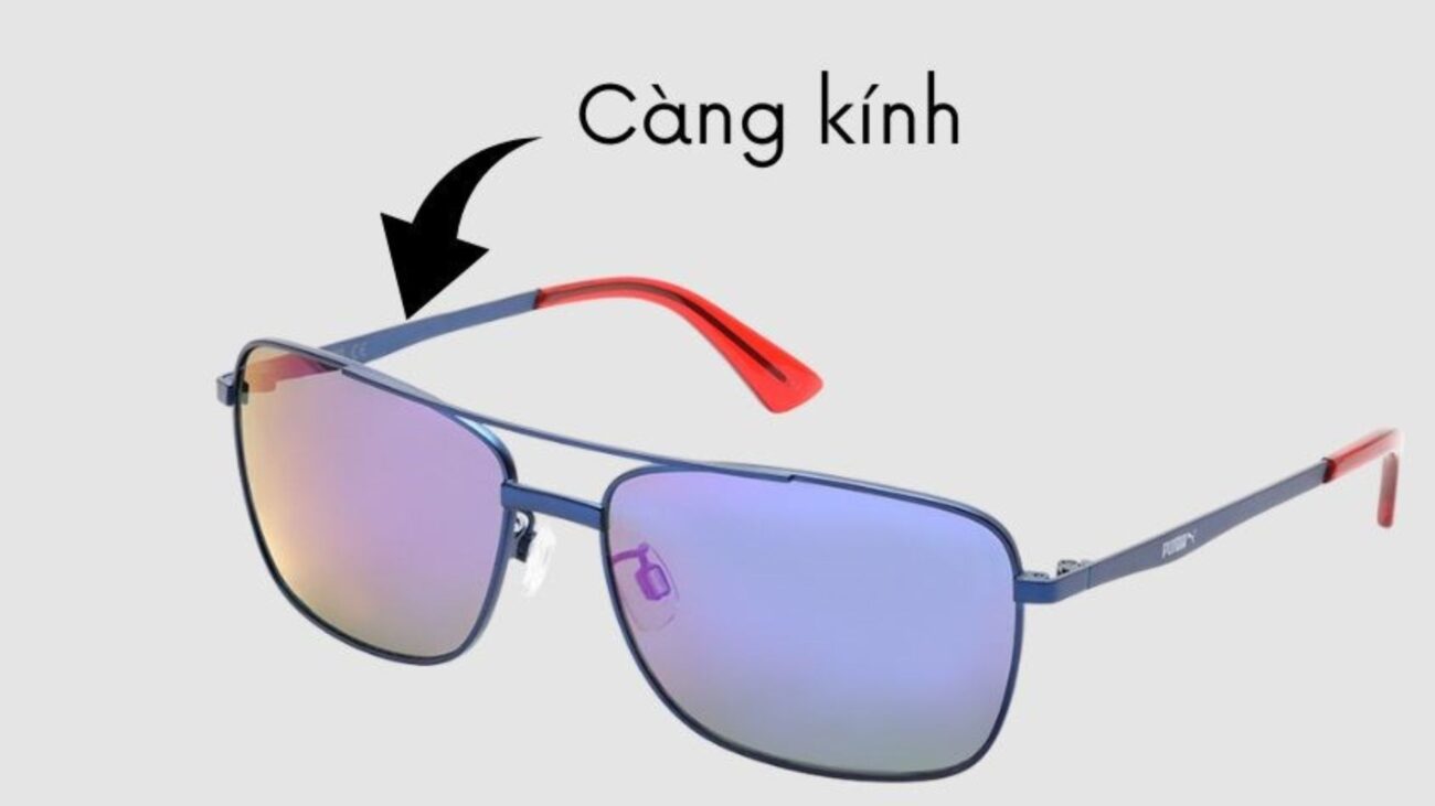 4 Cách Đeo Kính Không Bị Đau Vành Tai Cực Hiệu Quả 6 Điều chỉnh càng kính