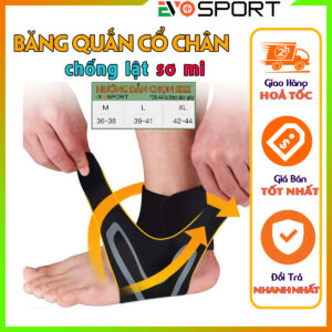 Cover thumble 1200x1200 bang co chan evo05bcc014 ver 2
