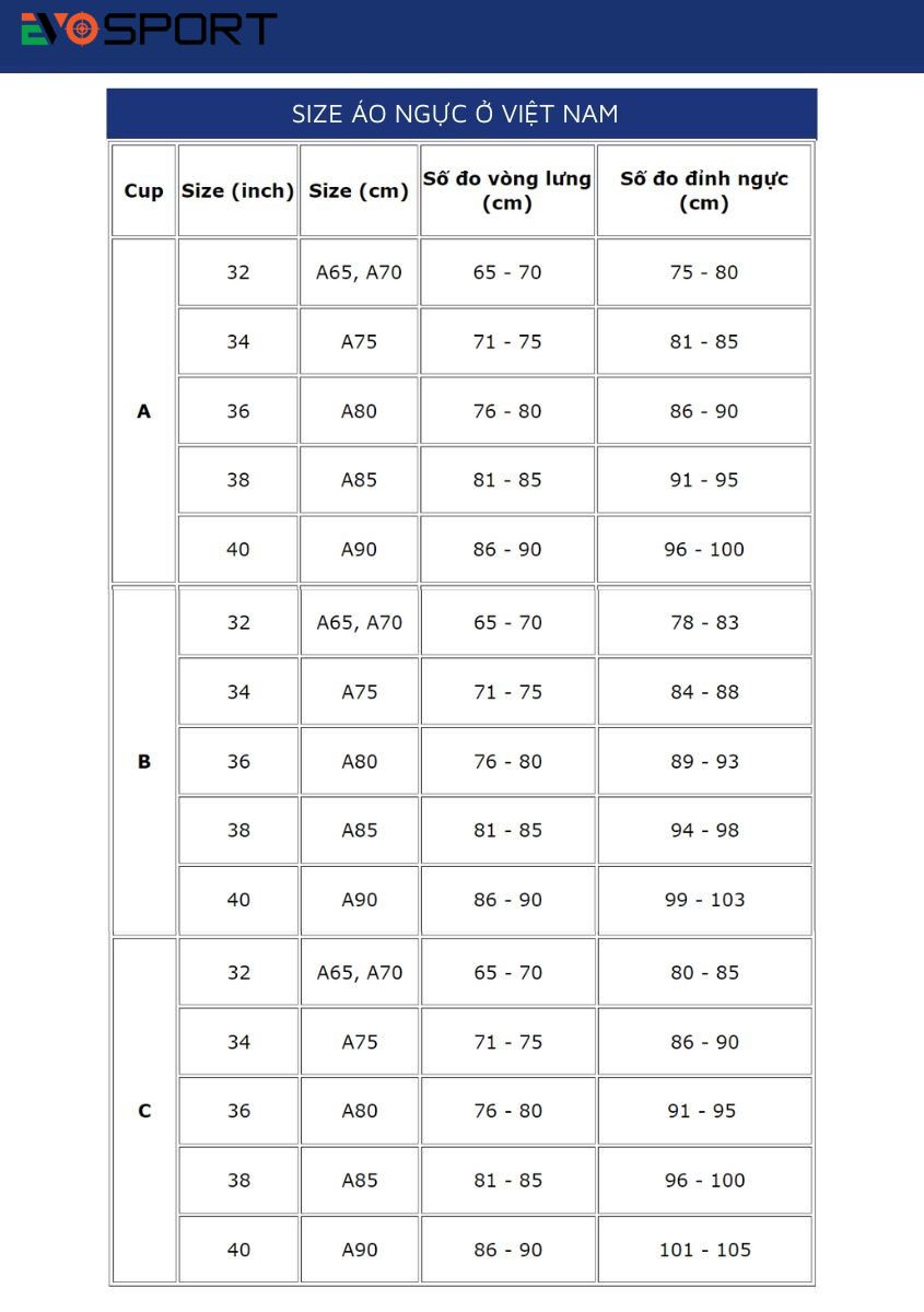 Hướng Dẫn Đo Size Áo Ngực Theo Đúng Chuẩn Việt Nam Và Quốc Tế 4 Huong dan do size ao nguc chuan viet nam 6