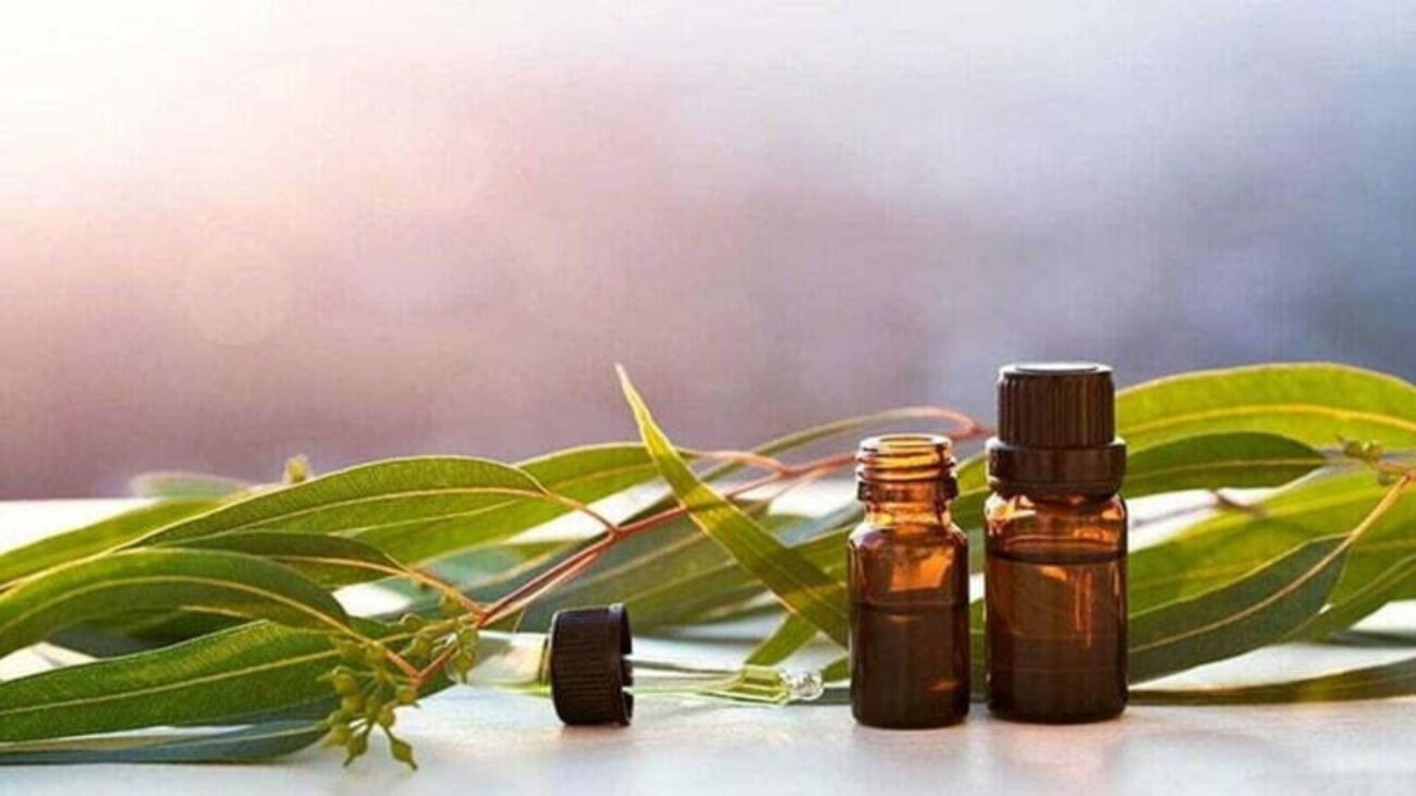 12 Cách Trị Hôi Chân Khi Mang Giày, Dép Nhiều Hiệu Quả Và Đơn Giản 13 Dầu khuynh diệp có công dụng kháng khuẩn, giảm mùi hôi chân hiệu quả