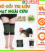 Bó gối trị liệu tinh chất ngãi cứu