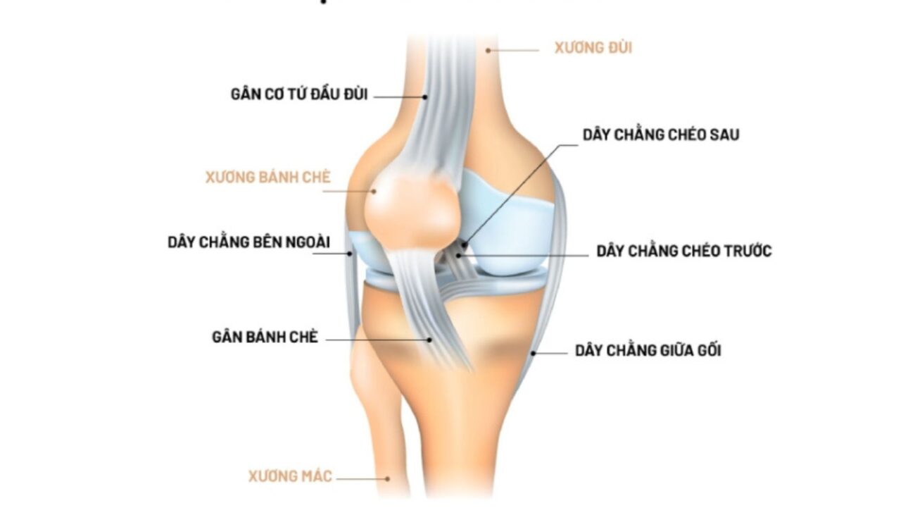 Bong gân dây chằng đầu gối